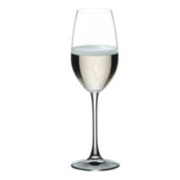 RESTAURANT CHAMPAGNE GLASS (Box of 12)