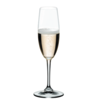 DEGUSTAZIONE CHAMPAGNE FLUTE (Box of 12)