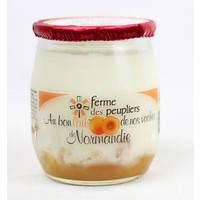 Yoghurt Apricot 125g x 12 (France)