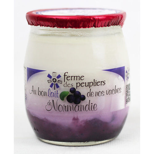 FERME DES PEUPLIERS Yoghurt Blueberry 125g x 12 (France)