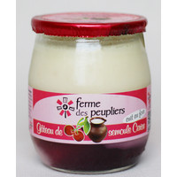 Yoghurt Cherry 125g x 12 (France)