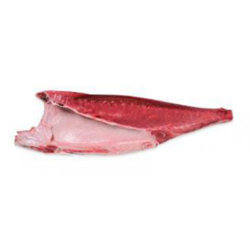 Bluefin Tuna Belly Loin Farm Raised (13 Kg Approx)