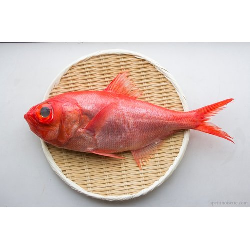 Splendid Alfonsino Around - Kinme Katsuura (Approx 1KG)