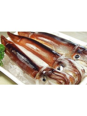 Japanese Common Squid - Surume Ika (Approx 400 Grams)
