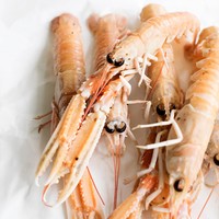 Langoustine Norway Lobster 2 KG