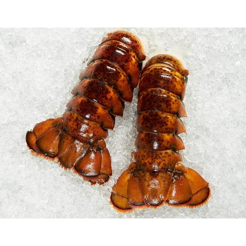 BLAQUS Canadian Lobster Meat Tail  3-4 oz