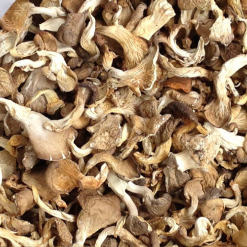 Dried Shimeji Mushroom 15 Grams Dried Shimeji Mushroom 15 Grams