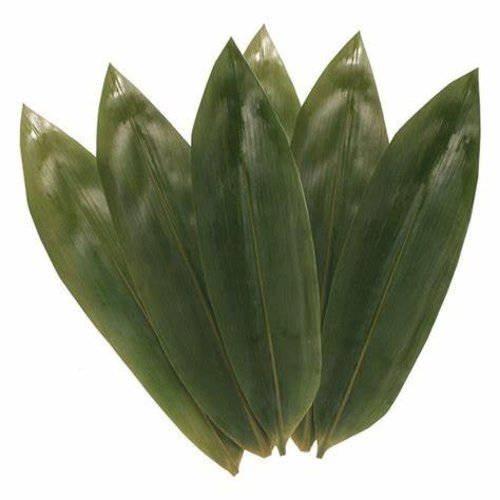 Bamboo Leaves 100 Pieces Bamboo Leaves 100 Pieces
