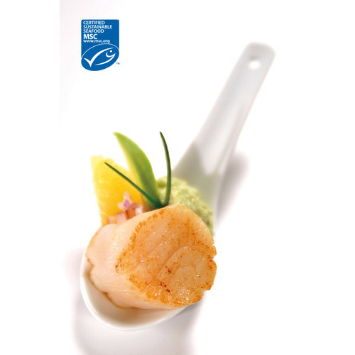 Scallops 10/20 Size 1 KG Scallops 10/20 Size 1 KG