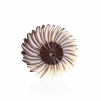 Rosette Dark/White 30 Pieces 170 Grams