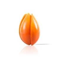 Tulip Orange 20 Pieces 170 Grams