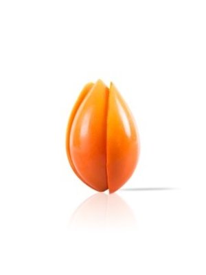 DOBLA  Tulip Orange 20 Pieces 170 Grams