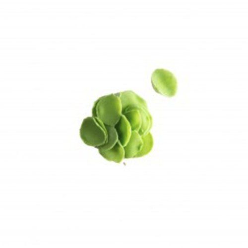 DOBLA  Petals Mini Green 1 KG