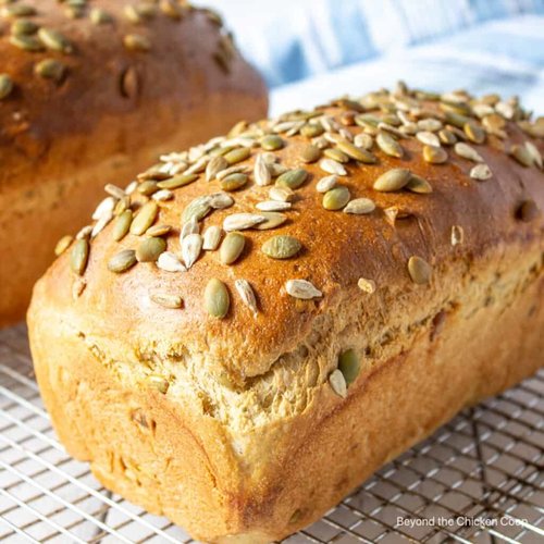 HIESTAND Pumpkin Seed Bread 10 Pcs x 350 Grams HIESTAND Pumpkin Seed Bread 10 Pcs x 350 Grams