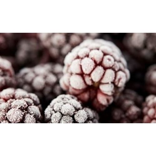 CROP'S Blackberries 5 Bags x 1 KG