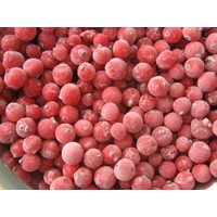 Red Currants 5 Bags x 1 KG