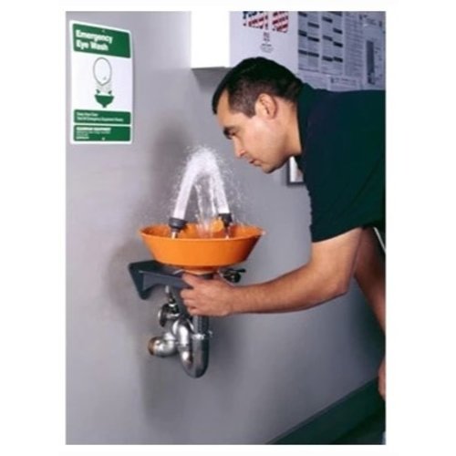 GUARDIAN G1814P - Wall Mounted Eyewash Station with Plastic Bowl