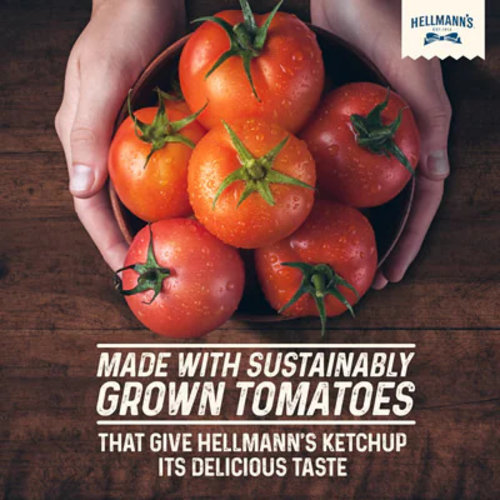 HELLMANN'S Table Top Ketchup 480 Grams