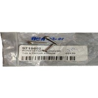 9719602 - Plastic Screw