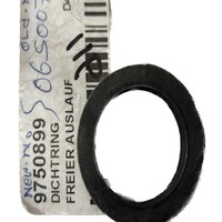 9750899 - Packing Ring