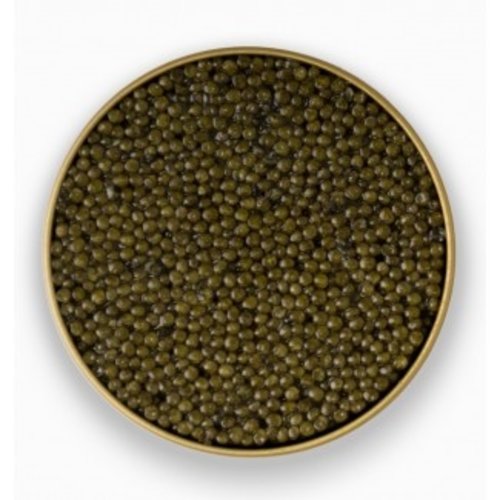 ADMIRAL Russian Osetra Caviar ADMIRAL Russian Osetra Caviar