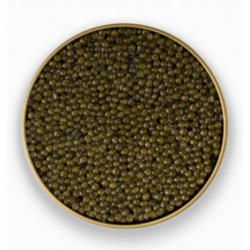 ADMIRAL Russian Osetra Caviar