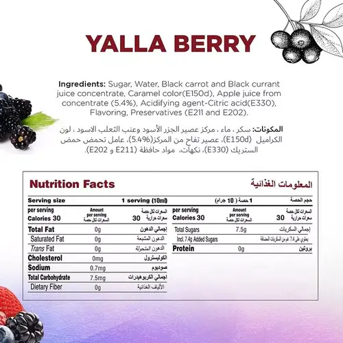 JUST CHILL DRINKS CO. Yalla Berry Fruit Syrup 1 Liter