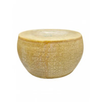 Cheese Parmesan Grana Padano Wheel (Approx) 35 KG