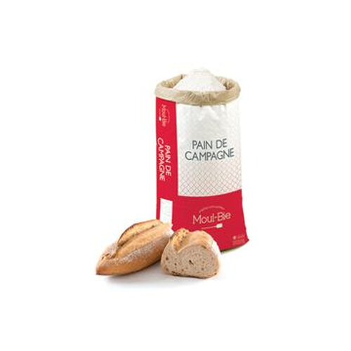 GRANDS MOULINS DE PARIS Pain De Campagne / Country Bread Flour 25 KG