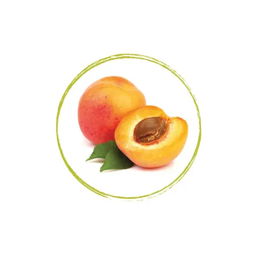 FRUITS ROUGES DE L'AISNE Apricot Puree 90% FRZ 6 x 1 KG