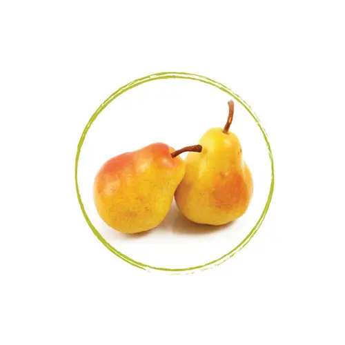 FRUITS ROUGES DE L'AISNE Pear Puree 90% FRZ 6 x 1 KG