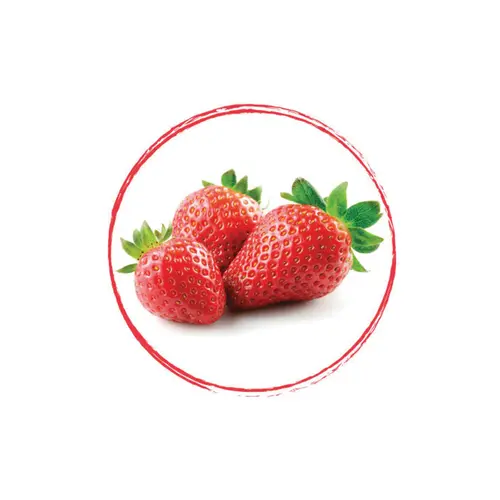 FRUITS ROUGES DE L'AISNE Strawberry Puree 90% FRZ 6 x 1 KG
