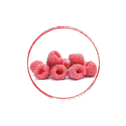 FRUITS ROUGES DE L'AISNE Raspberry Puree 90% FRZ 6 x 1 KG