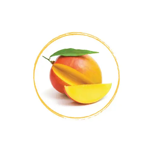 FRUITS ROUGES DE L'AISNE Mango Puree 100% FRZ 6 x 1 KG