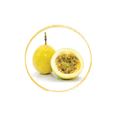 FRUITS ROUGES DE L'AISNE Passion Fruit Puree 100% FRZ 6 x 1 KG