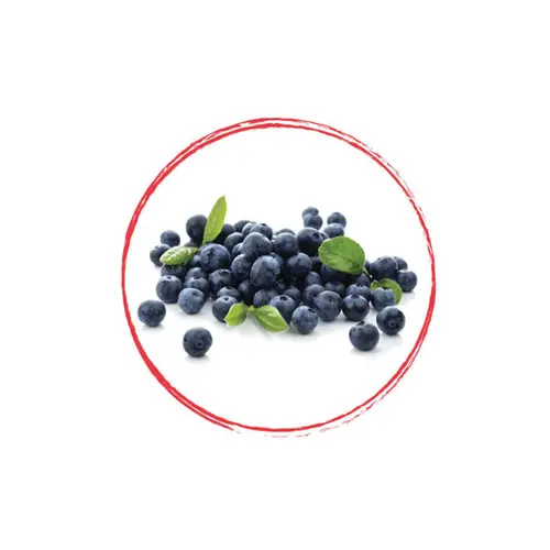 FRUITS ROUGES DE L'AISNE Blueberry Puree 90% FRZ 6 x 1 KG