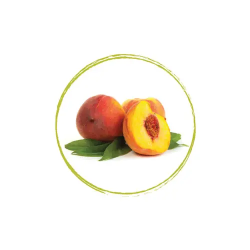 FRUITS ROUGES DE L'AISNE Peach Puree 94% FRZ 6 x 1 KG