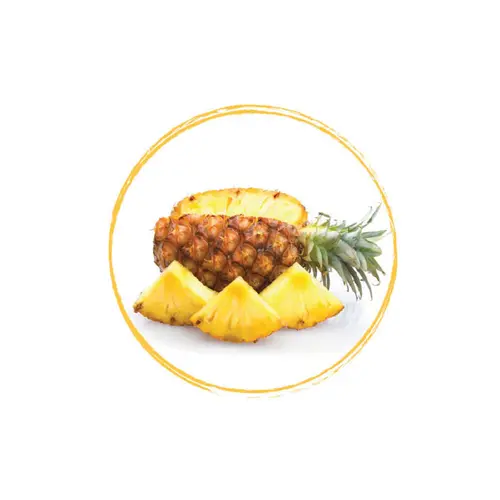 FRUITS ROUGES DE L'AISNE Pineapple Puree 90% FRZ 6 x 1 KG
