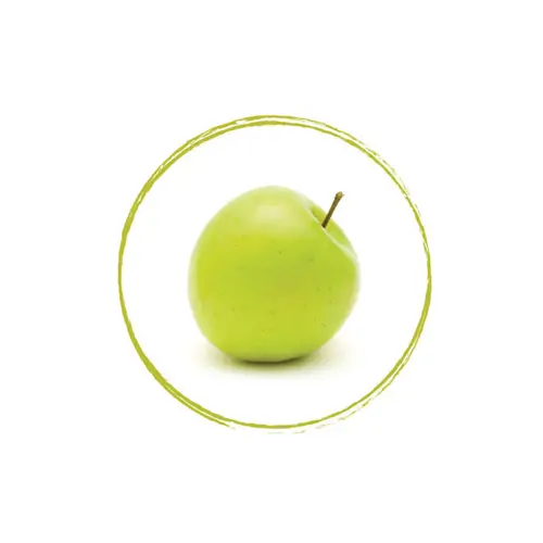 FRUITS ROUGES DE L'AISNE Green Apple Puree 90% FRZ 6 x 1 KG