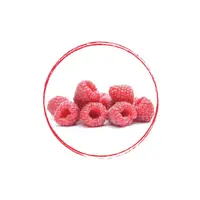 Willamette Raspberry Whole FRZ 4 x 2.5 KG