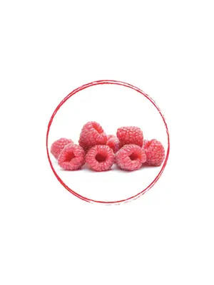 FRUITS ROUGES DE L'AISNE Willamette Raspberry Whole FRZ 4 x 2.5 KG