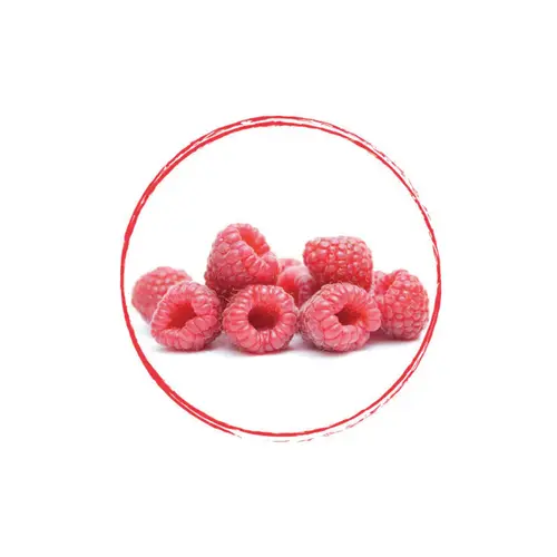 FRUITS ROUGES DE L'AISNE Willamette Raspberry Whole FRZ 4 x 2.5 KG