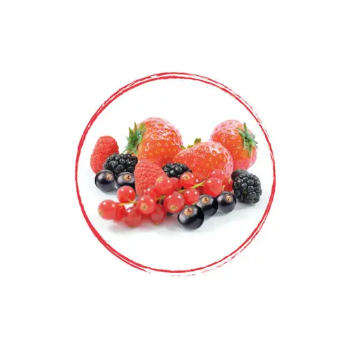 FRUITS ROUGES DE L'AISNE Mixed Red Berries Whole FRZ 5 x 1 KG