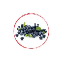 Wild Blueberry Whole FRZ 10 KG