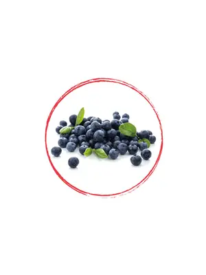 FRUITS ROUGES DE L'AISNE Wild Blueberry Whole FRZ 10 KG