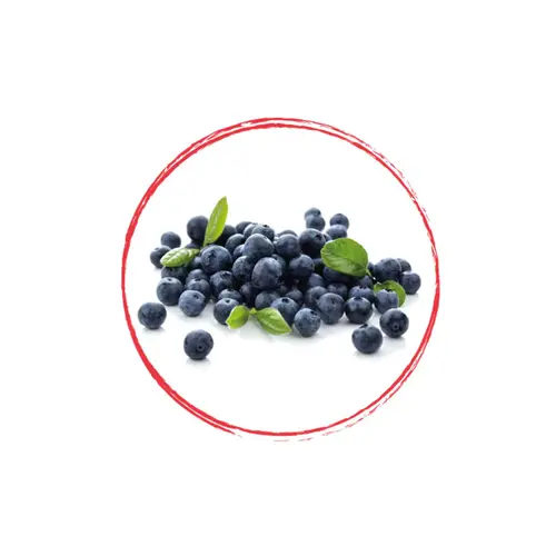 FRUITS ROUGES DE L'AISNE Wild Blueberry Whole FRZ 10 KG
