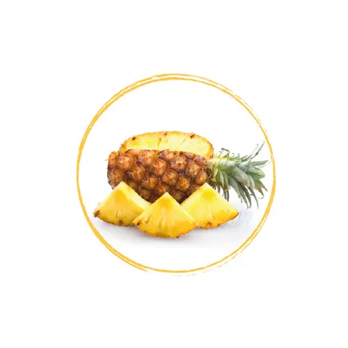 FRUITS ROUGES DE L'AISNE Pineapple Chunks 20x20mm FRZ 10 KG