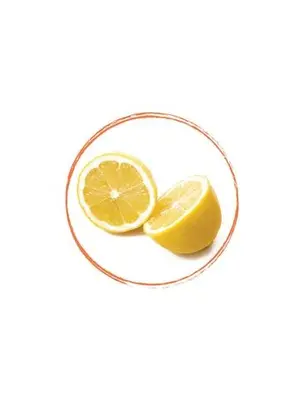 FRUITS ROUGES DE L'AISNE Lemon Puree 100% FRZ 6 x 1 KG
