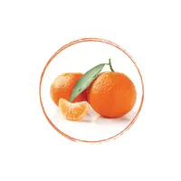 Mandarine Juice Puree FRZ 6 x 1 KG