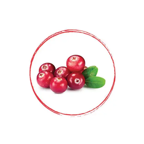 FRUITS ROUGES DE L'AISNE Cranberry Whole FRZ10 KG